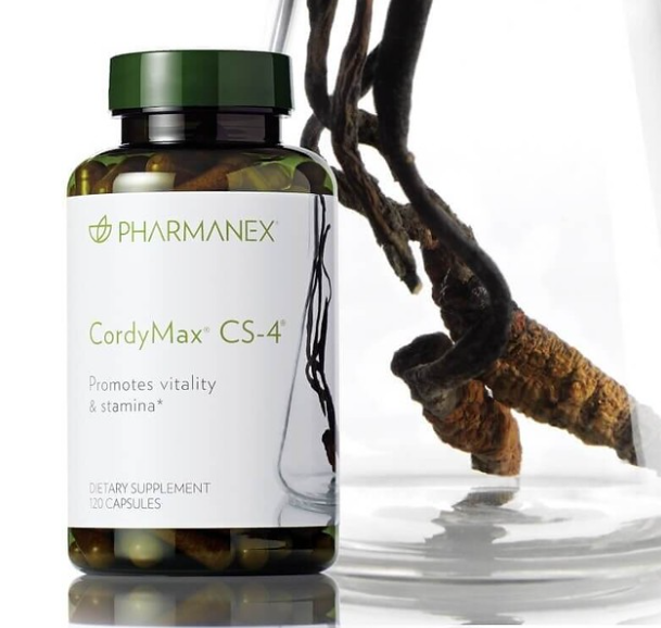 CordyMax z huby nazývanej Cordyceps