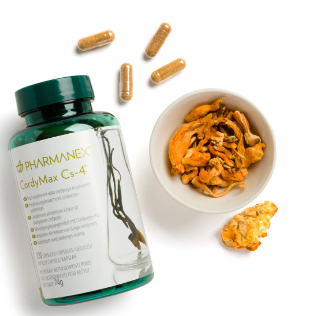 CordyMax z huby nazývanej Cordyceps
